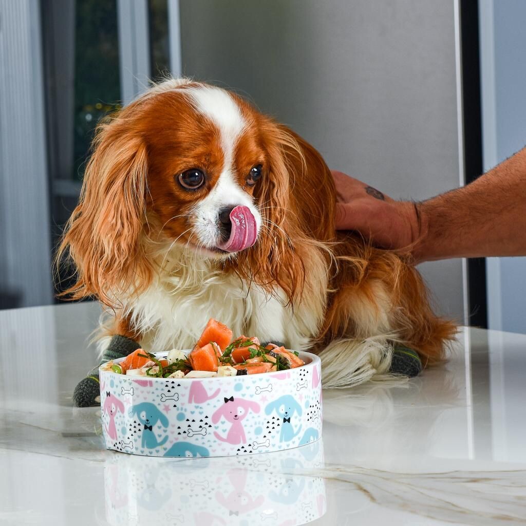 Yavru Köpekler İçin Olmazsa Olmaz Besinler