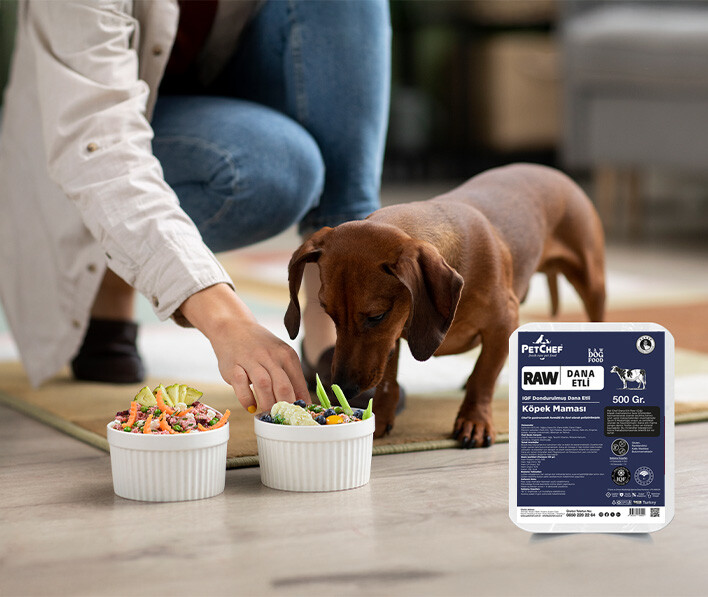 Köpekler İçin En İyi Beslenme Zamanı Nedir?