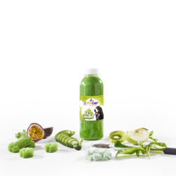 Fit Smoothie 1500 ML - 1